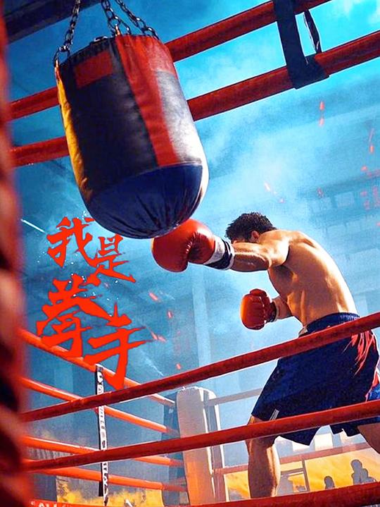 我是拳手[国语配音/中文字幕].I.am.a.Boxer.2025.1080p.WEB-DL.H264.AAC-QuickIO 1.66GB 