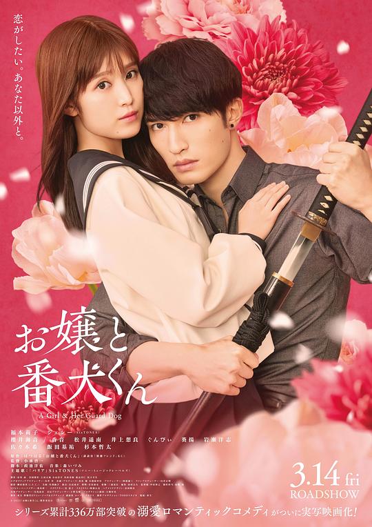 大小姐和看门犬[简繁字幕].A.Girl.&amp;.Her.Guard.Dog.2025.1080p.BluRay.x265.10bit.DTS-CTRLHD 4.37GB 