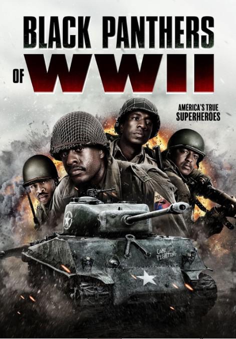 二战黑豹[简繁英字幕].Black.Panthers.Of.WWII.2025.Bluray.1080p.DTS-HDMA5.1.x265.10bit-DreamHD 5.61GB 
